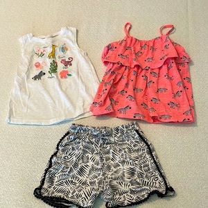 Girls zebra shirts and two shirts 5T